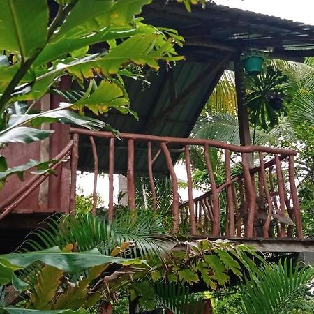 Sigiri Panaromic Tree House Vila Sigiriya Exterior foto