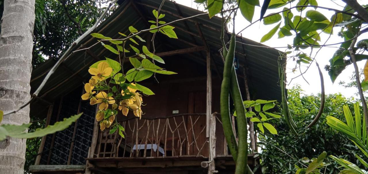 Sigiri Panaromic Tree House Vila Sigiriya Exterior foto