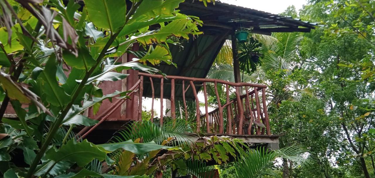 Sigiri Panaromic Tree House Vila Sigiriya Exterior foto