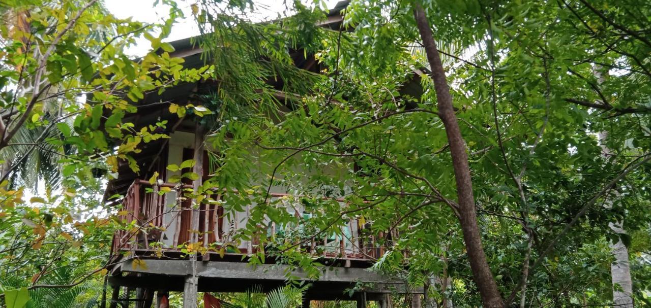 Sigiri Panaromic Tree House Vila Sigiriya Exterior foto